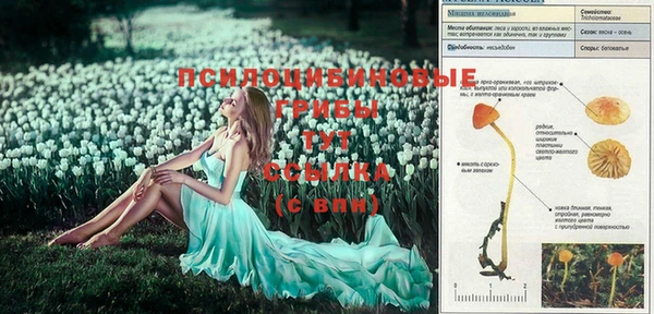 героин Белокуриха